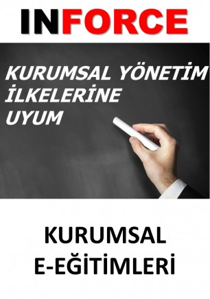 Kurumsal Yönetim İlkelerine Uyum